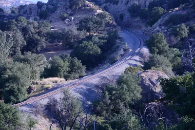 DSC_2085 (Large).JPG